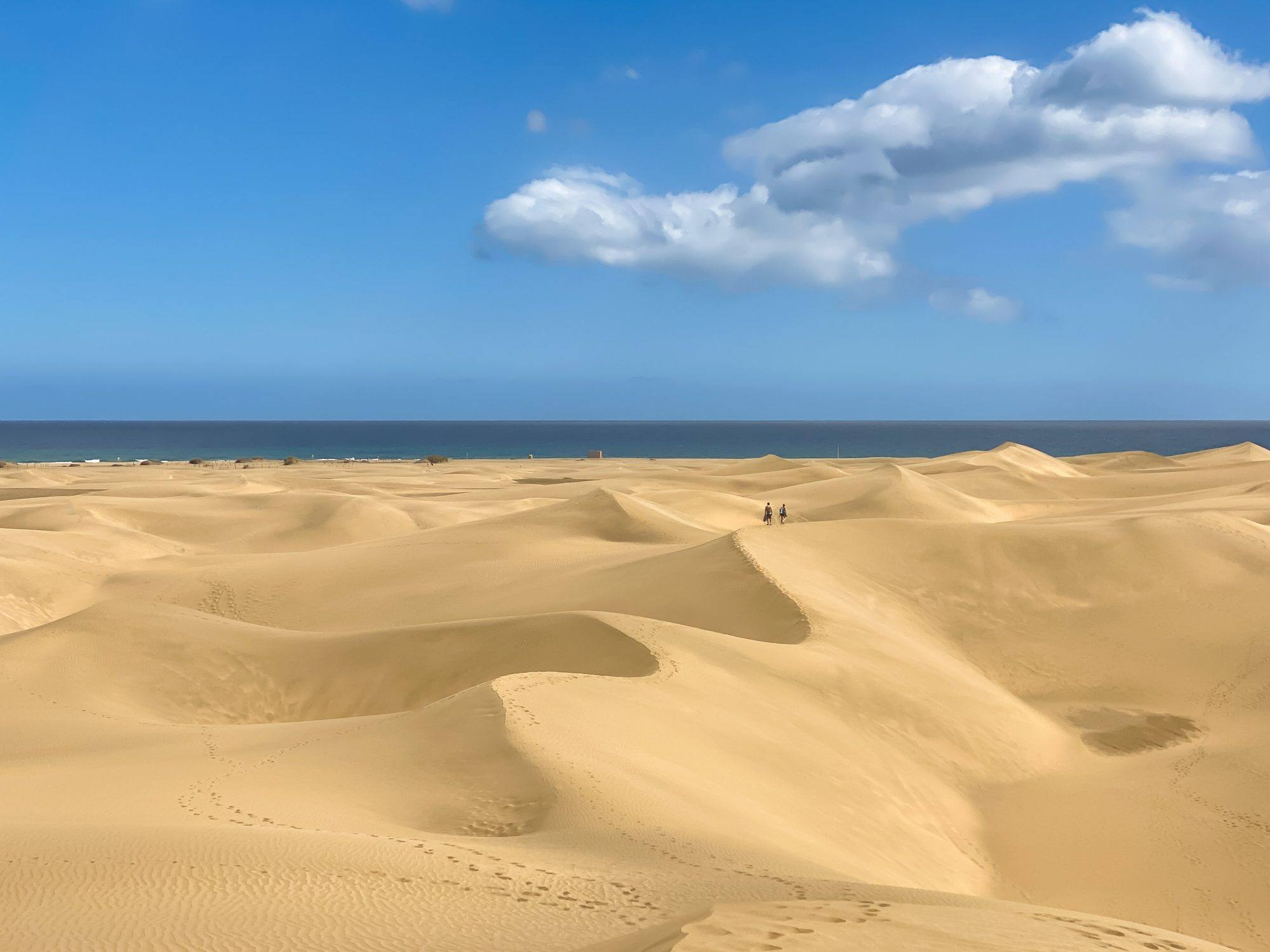 The golden sand dunes of Maspalomas in the south of Gran Canaria, their curving crests marked with footprints and two distant walkers, stretching to a dark blue Atlantic under a blue sky with white clouds